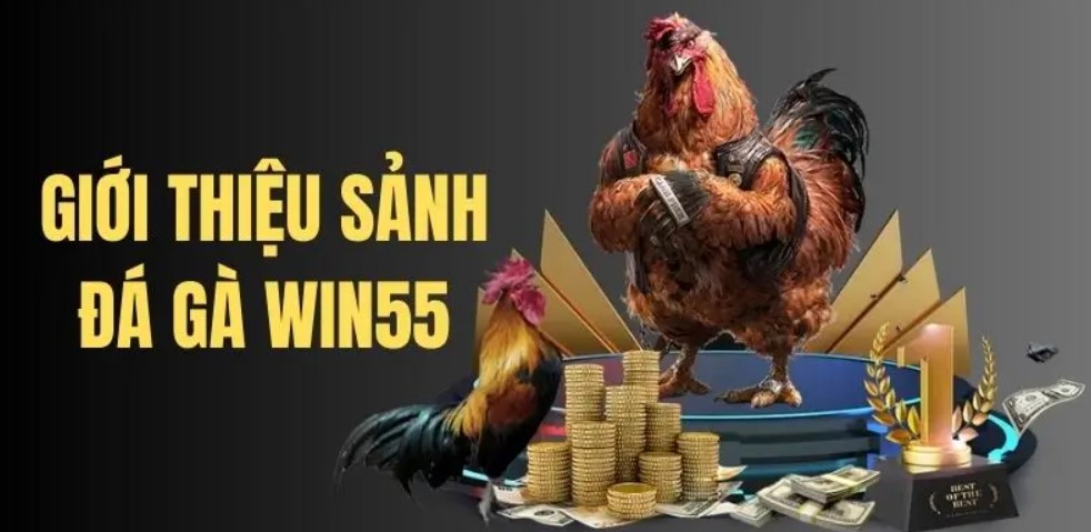 Tổng quan về đá gà win55