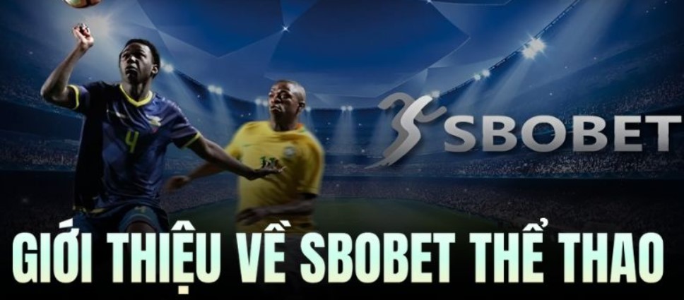 SBOBET win55