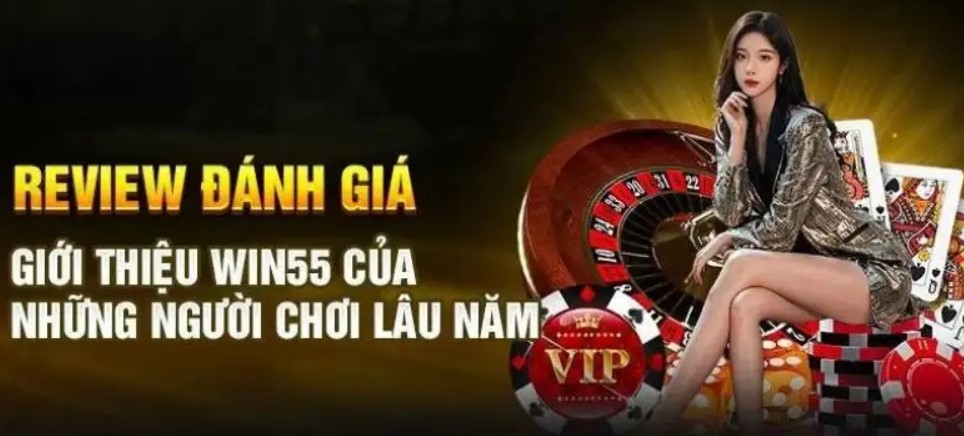 Tổng hợp những câu hỏi thường gặp từ bet thủ năm 2024